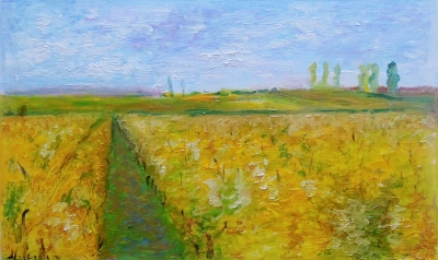 Vigne en bourgogne