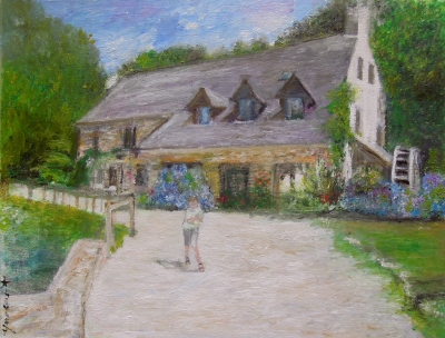 le moulin la Salmonière