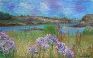 Agapanthes sur l&#039;ile de Bréhat