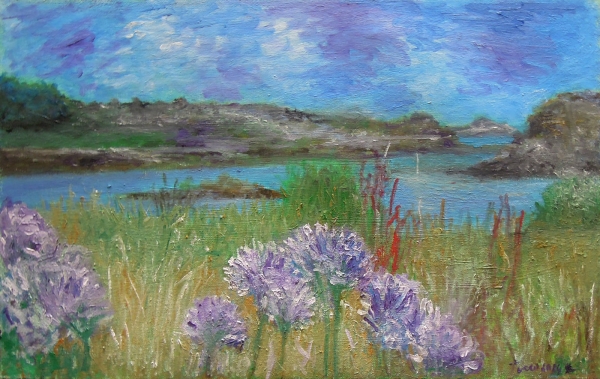 Agapanthes sur l&#039;ile de Bréhat