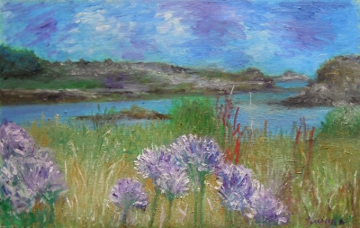 Agapanthes sur l&#039;ile de Bréhat